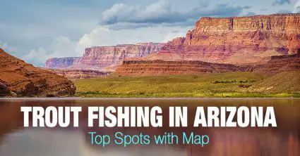Trout Fishing in Arizona – Top Spots with Map
