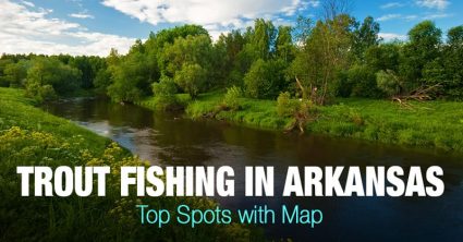 Trout Fishing in Arkansas (AR) – Top Spots with Map