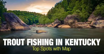 Trout Fishing in Kentucky (KY) – Top Spots with Map