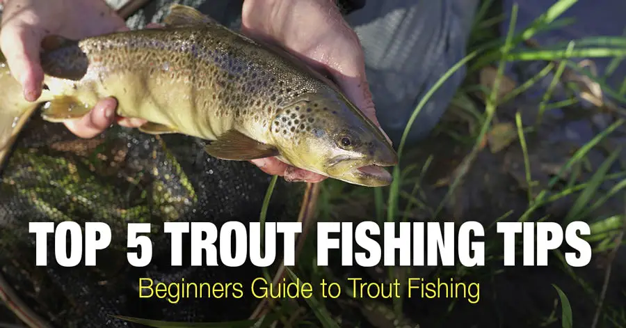 Trout Fishing Tips