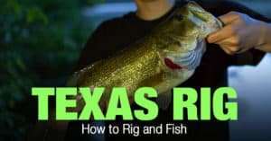 Texas Rig Fishing: How to Rig and Fish