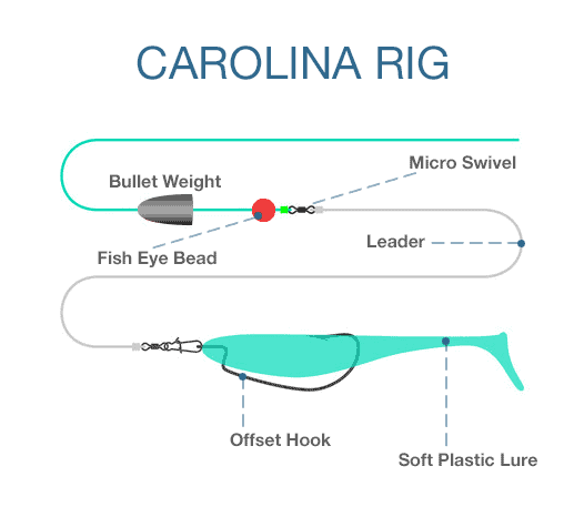 Bass Fishing Rigs Diagrams