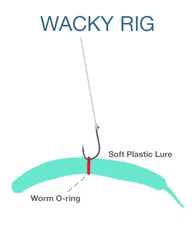Wacky Rig for Bass