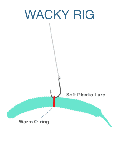 Wacky Rig for Bass