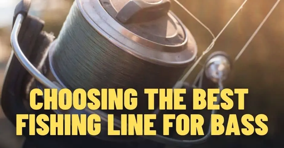What is the Best Fishing Line for Bass?