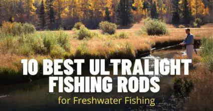10 Best Ultralight Fishing Rods for Freshwater Fishing