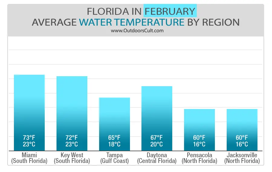 Florida in February [Weather, Water Temperature, Places to Visit, What