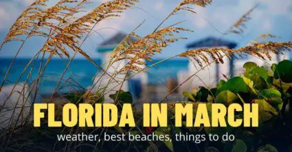 Florida in March: [Florida Weather, Water Temperature, Places to Visit]