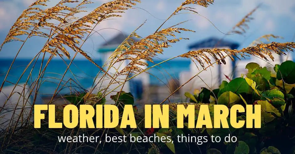 Florida in March